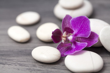White spa stones and oriental flower