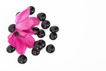 Black spa stones and oriental flower isolated