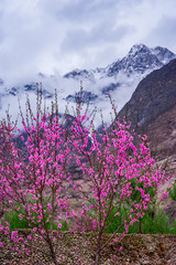 beautiful Landscape of Hunza Valley in Autumn season, Northern Area of Pakistan