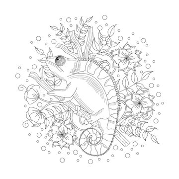 Chameleon coloring book illustration