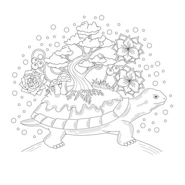 Tortoise coloring book illustration