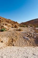 Negev Desert