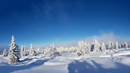 Brocken Panorama im Winter