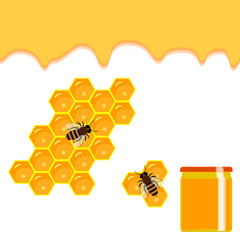 honeycomb and sweet honey drips.