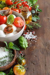 Italian ingridients for caprese salad