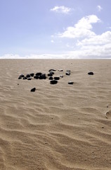 Fototapeta na wymiar Pile of stones in a sand desert