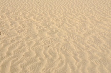 Fototapeta na wymiar Wind made pattern in desert sand