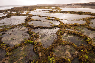 inhospitable Atlantic Coast, Morocco