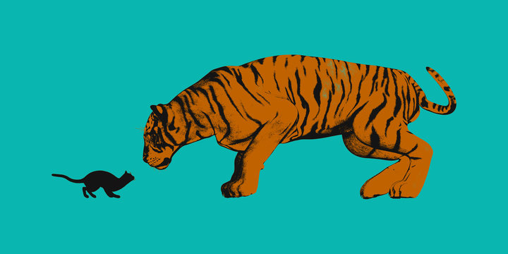 Cat Versus Tiger