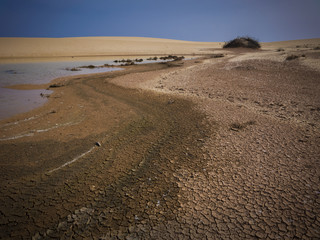 Corralejo natural reserve, Fuerteventua, Canary Islands, Spain