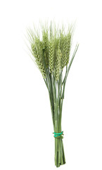 Wheat ears isolated