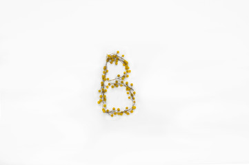 Obraz premium The letter 