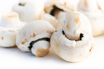 Champignons