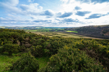Fototapeta na wymiar Winter Dartmoor vista