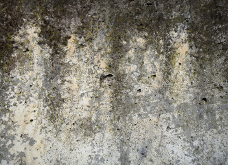 Stone surface