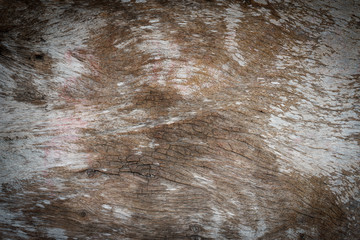 Dark wood texture. Abstract background