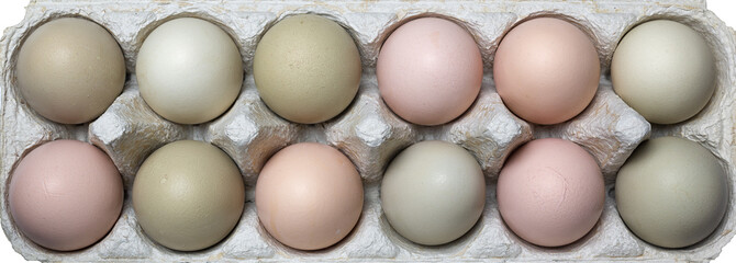 Fresh organic eggs in natural colour.