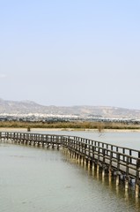 Fototapeta premium Wooden walkway in Spain