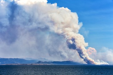 Fototapeta premium fire at yellowstone