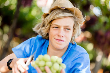 Boy in vineyard