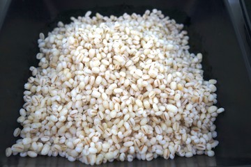 Cooked barley on salad bar