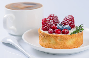 Still cake with fresh raspberries, blueberries and cranberries,