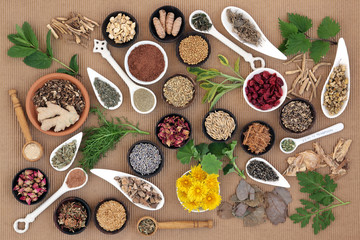 Healing Herbs for Women