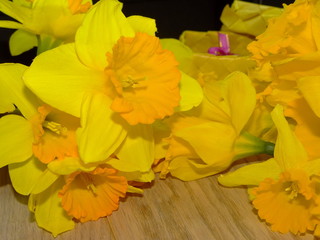 нарциссы и подарок 