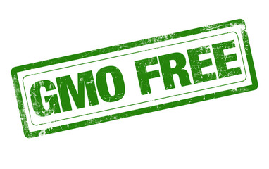 GMO free word green stamp text on white background