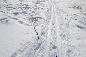 Fototapeta na wymiar Ski-runs in fluffi white snow