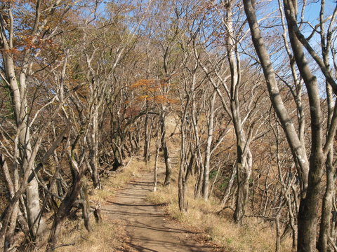 Mount Nabewari/Kanagawa,Japan