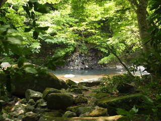 Chamberlain's Hakone Promenade/Kanagawa,Japan
