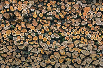 Lagerung von Brennholz in einem Waldstück