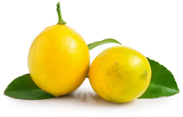 Two lemons with leaf