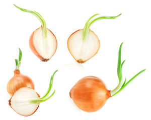 Half of onion isolated on white background