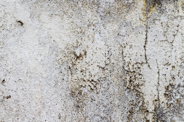 white concrete wall texture
