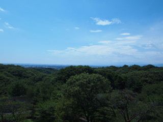 Obraz premium Musashimurayama/Tokyo,Japan