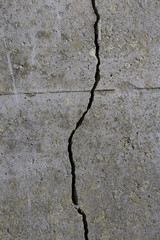 The cracks on the wall