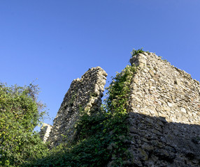 old ruins in a meadow