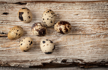 Quail eggs on wooden background