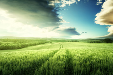 Fototapeta premium Tuscany sunset, Italy