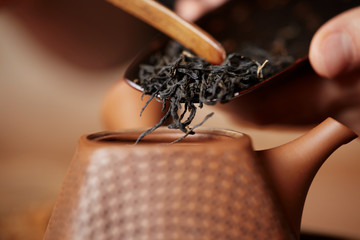 Master prepares Chinese tea leaves for home ceremony closeup concept image