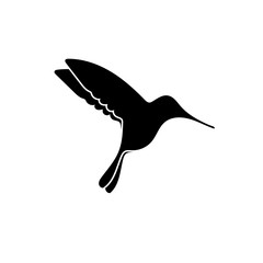 Bird silhouette isolated