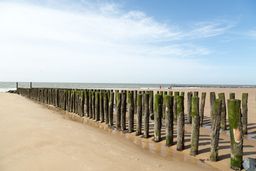 Wooden Spur dykes at Zoutelande Beach