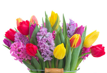 hyacinths and tulips