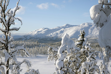 Mountains in winter landscape