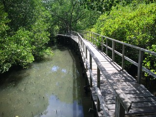 Wooden Bridge On Riverside