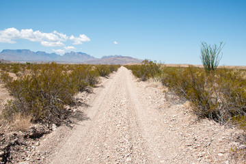 Big Bend National Park