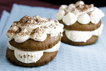 Pair of tiramisu desserts on bright blue tablecloth toned selective focus