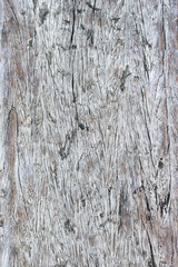 wood texture. background old panels
